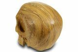 Realistic, Polished Picture Jasper Skull #378610-3